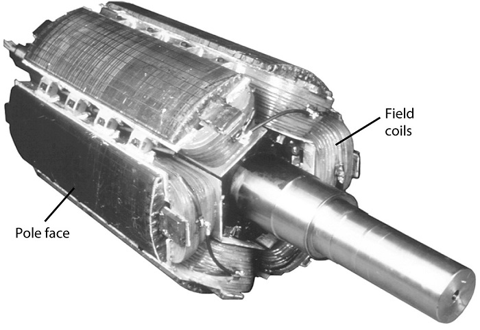 salient pole rotor - Linquip