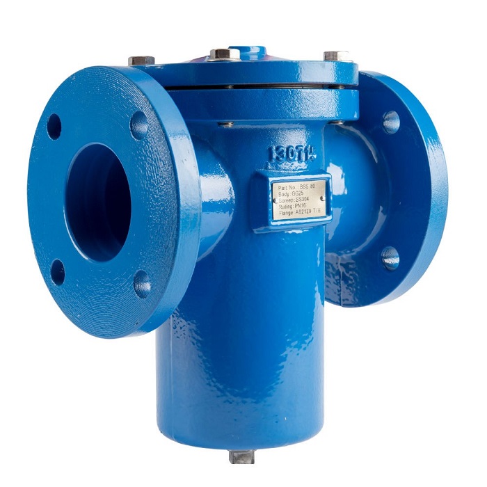 strainer valve