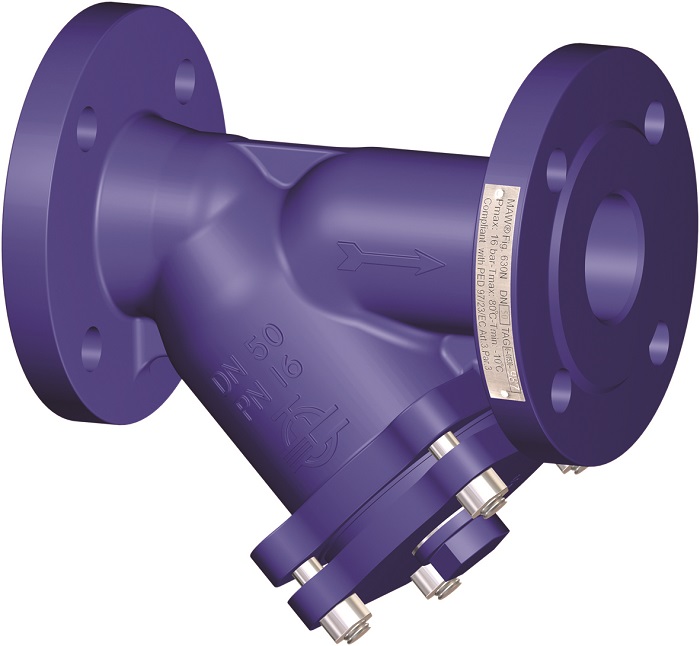 strainer valve