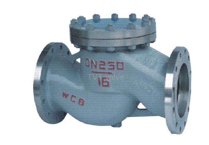 lift check valve