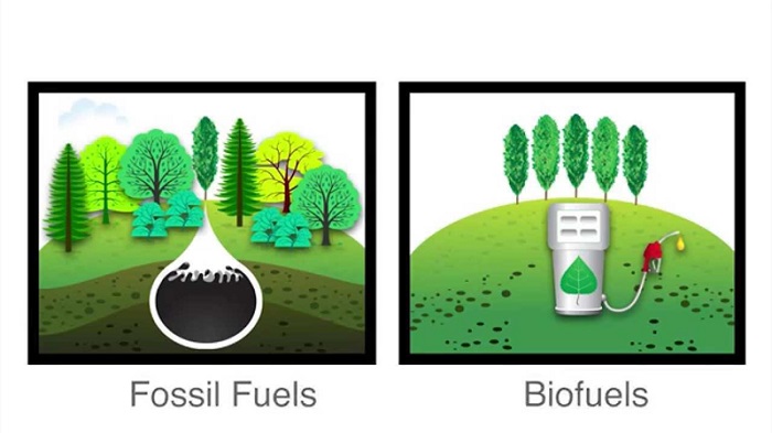 types of biofuels - linquip