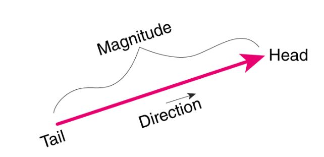 scalar and vector quantity