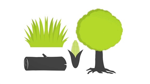 biomass - non-Renewable Energy sources