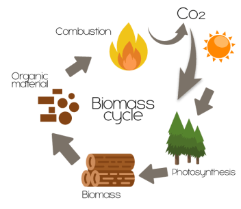 wood - biomass energy examples