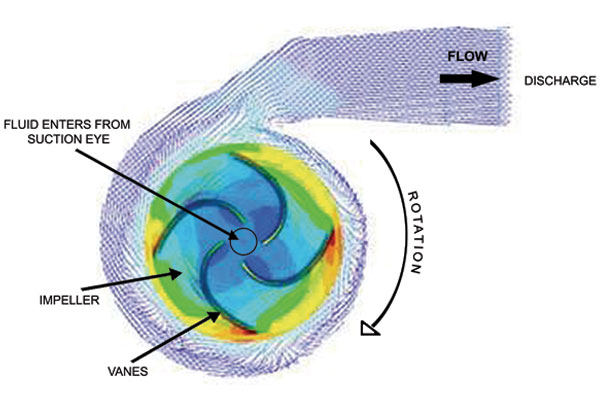 difference between pump and turbine