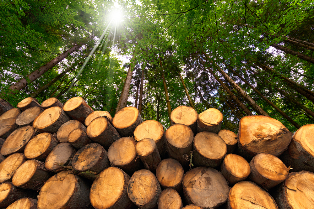 is biomass renewable or nonrenewable