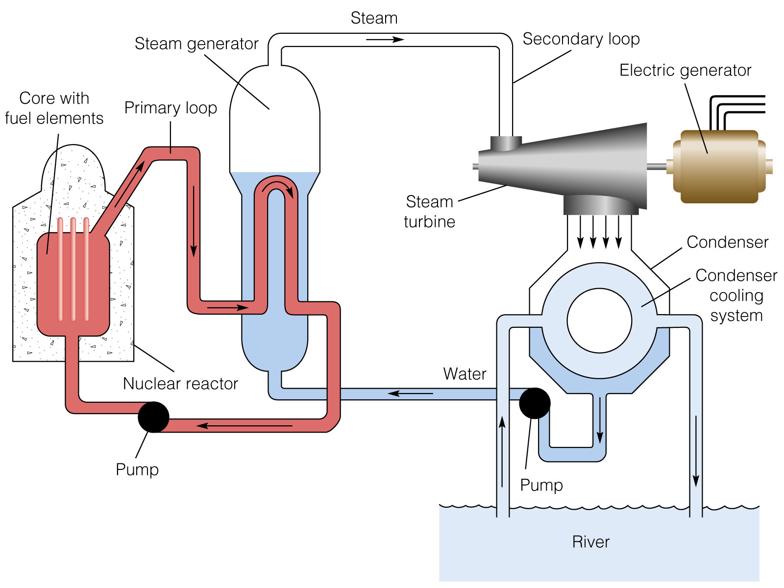 Nuclear power plant diagram
