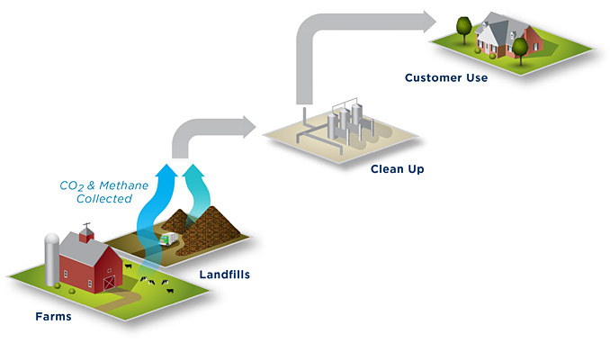 Renewable Natural Gas