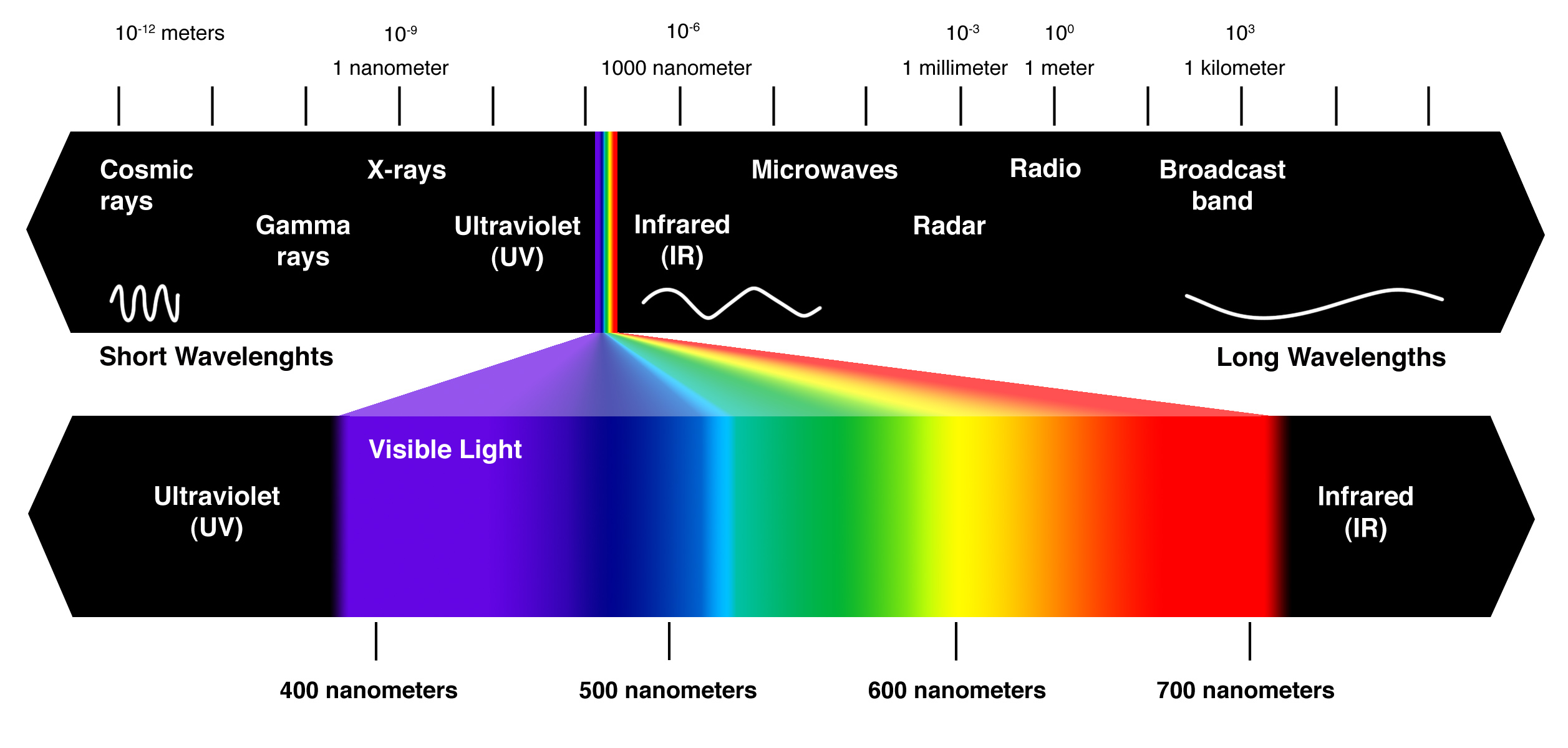 Spectrophotometer VS Colorimeter