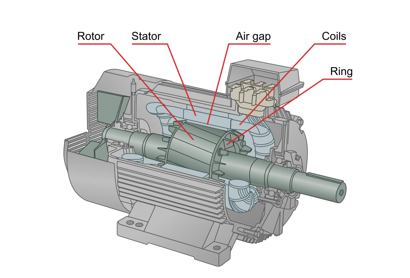 Construction of Synchronous Motor