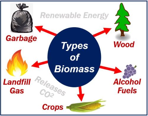 biomass energy