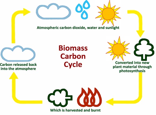 is biomass renewable or nonrenewable