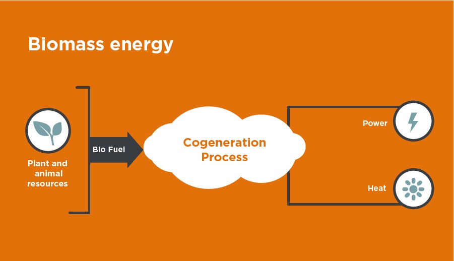 is biomass renewable or nonrenewable