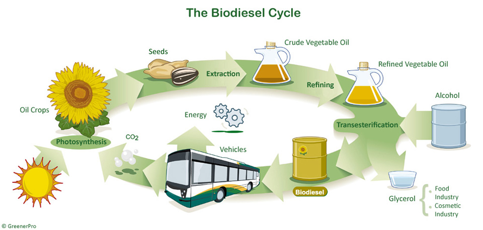 biofuels advantages and disadvantages