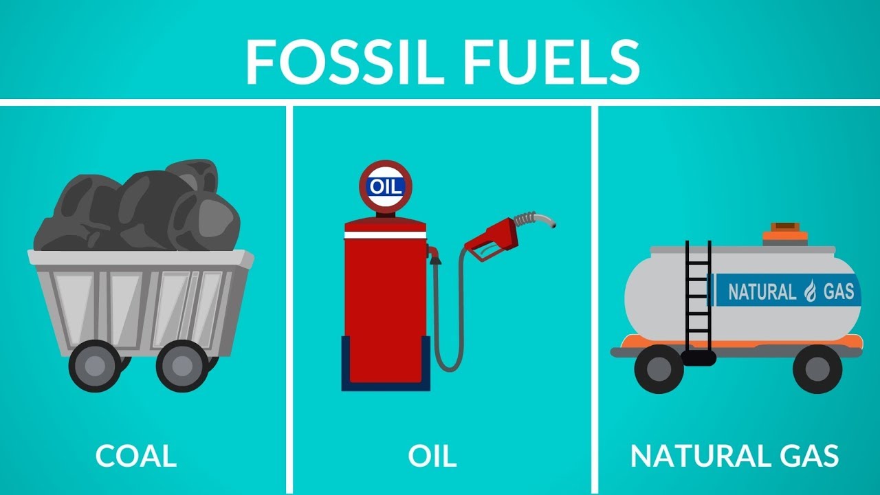 Fortælle Manager anmodning Types of Fossil Fuels: A Clear Guide