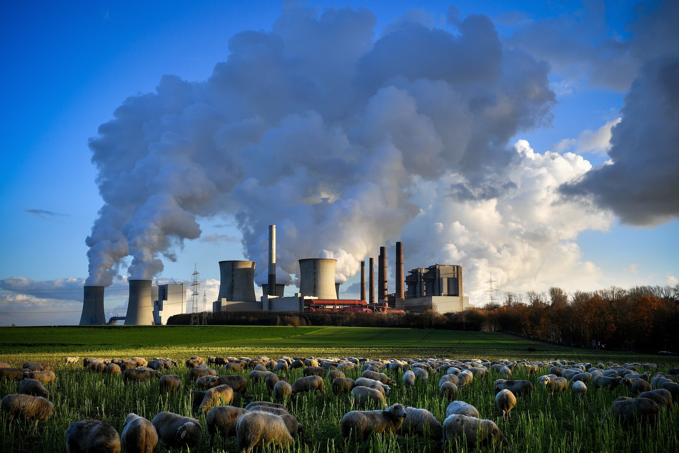 types of fossil fuels