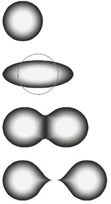 what is nuclear fission