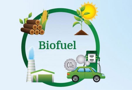 biofuels advantages and disadvantages