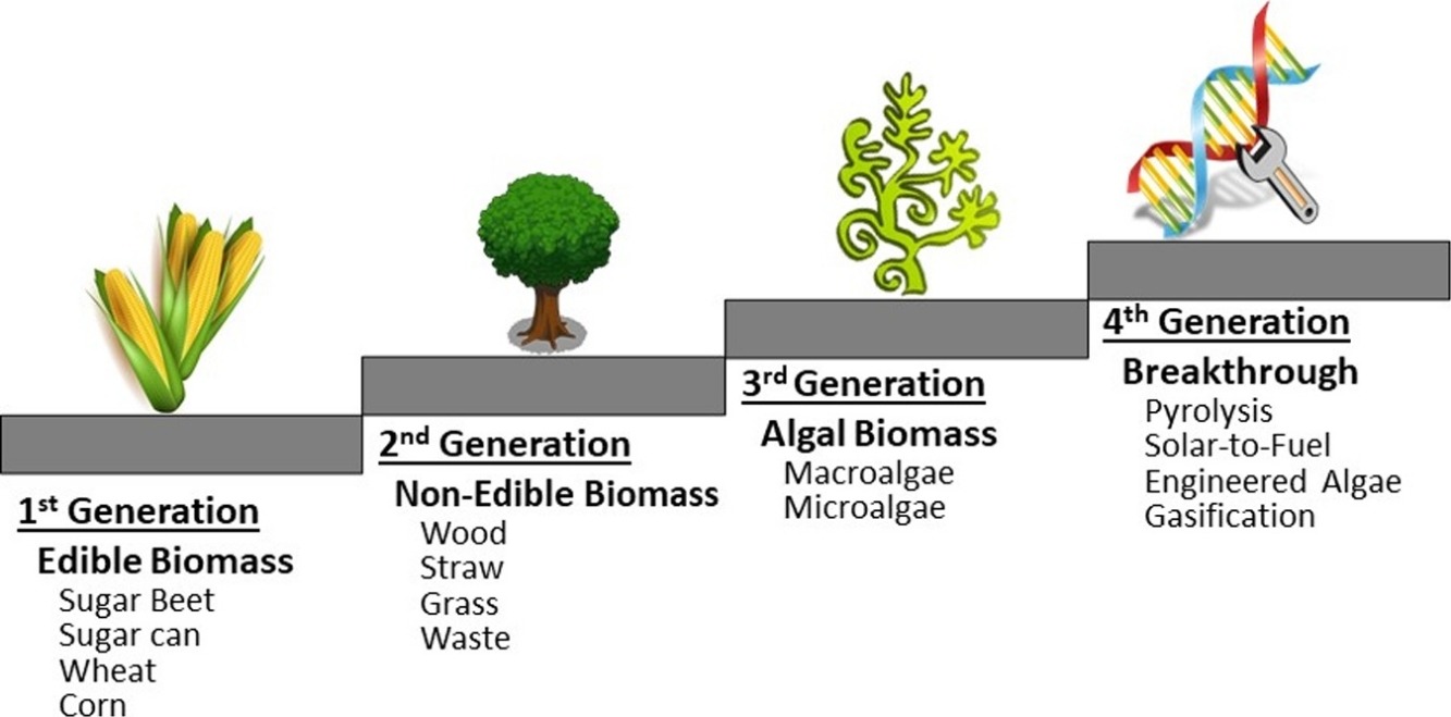 biofuels advantages and disadvantages