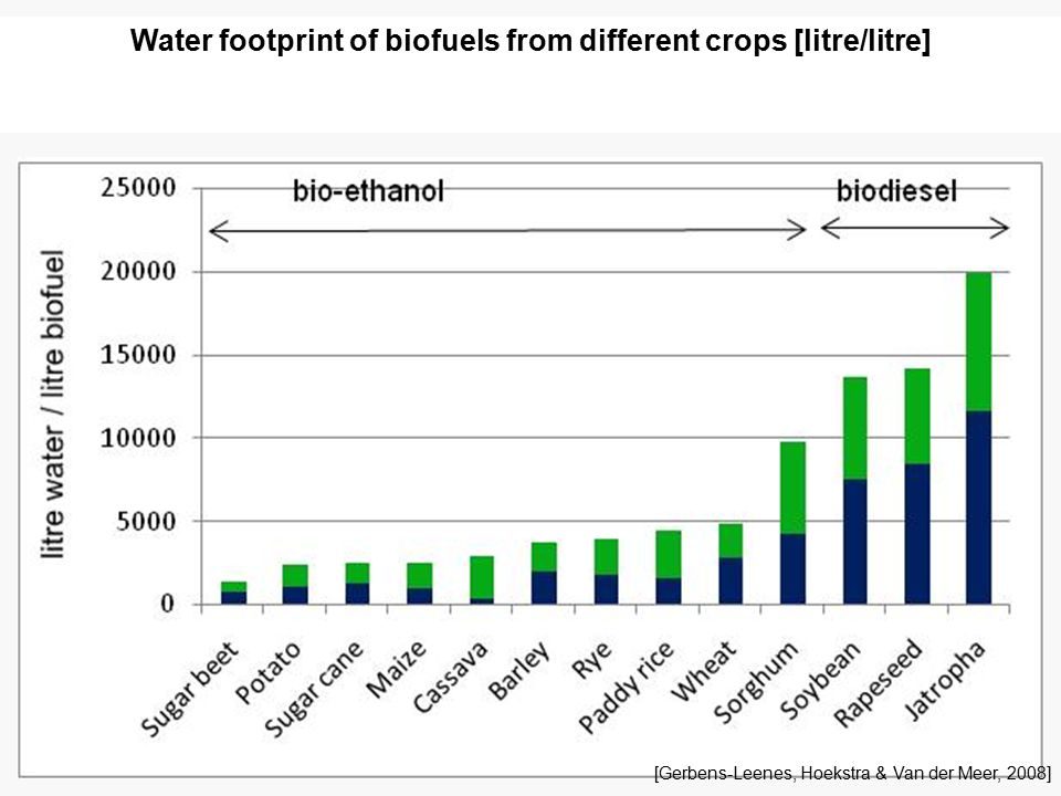 biofuels advantages and disadvantages