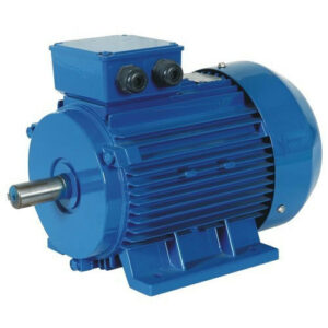 what is the principle of electric motor - induction