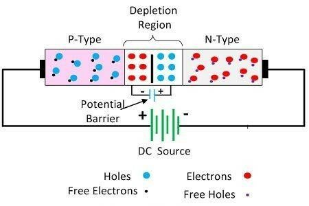 Forward and Reverse Biasing