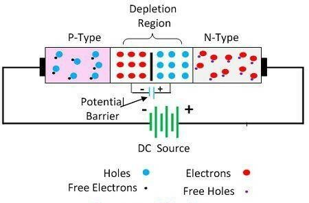 Forward and Reverse Biasing