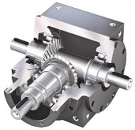 bevel gear