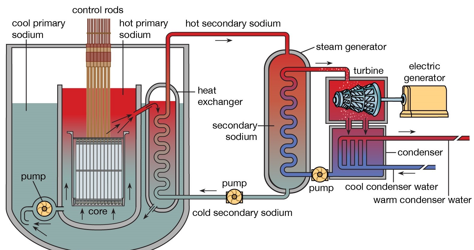 Sub Section: Nature - Uranium Breeding