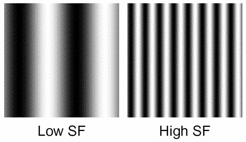 difference between period and frequency