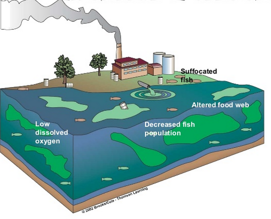 what is water pollution