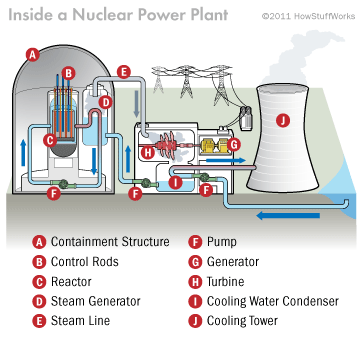 Components of nuclear reactor