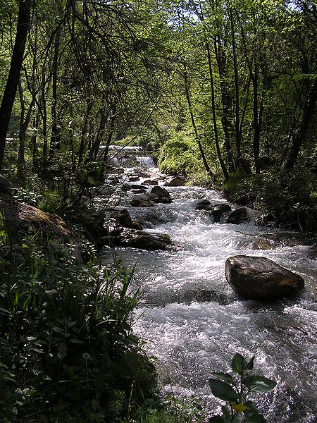 Run-of-the-river Hydroelectricity 