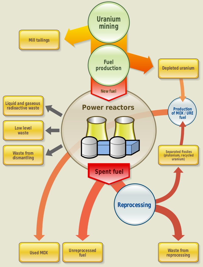 Components of nuclear reactor