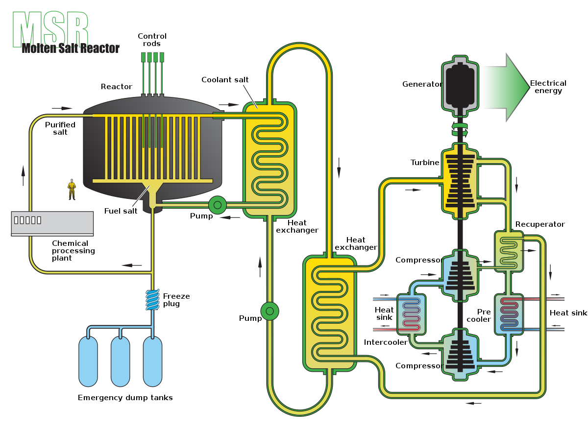 What is Thorium Salt Reactor? Thorium-Based Nuclear Power 3 Thorium Salt Reactor