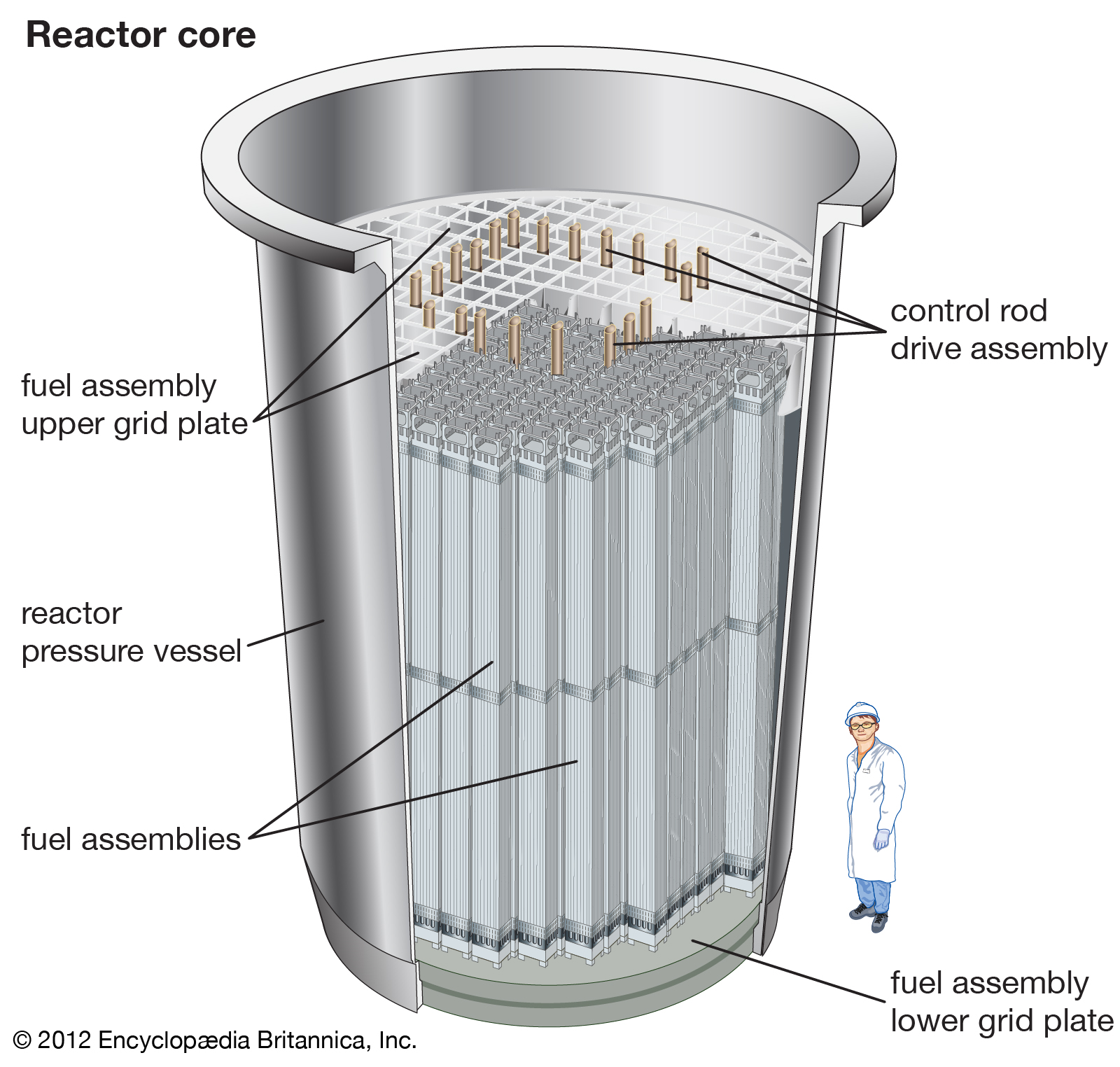 Components of nuclear reactor