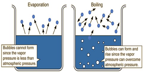 What is pump cavitation