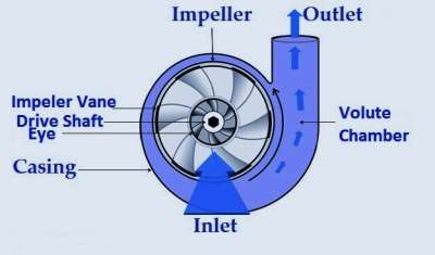 Centrifugal Pump Diagram