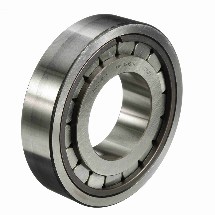 types of roller bearings