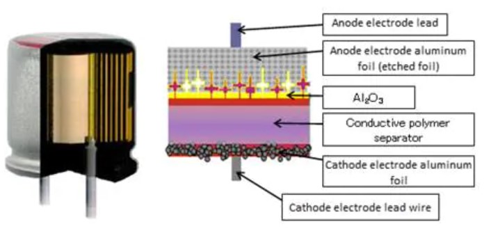 Polarized Capacitor