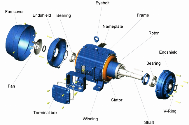 How to Ensure Greater Efficiency with Electric Motors