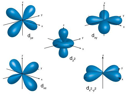 Difference between orbit and orbital