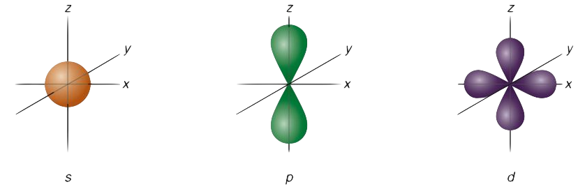 Difference between orbit and orbital