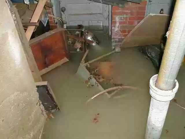 How and When to Replace Your Sump Pump
