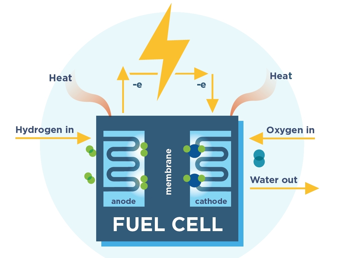 How Does A Hydrogen Fuel Cell Work?