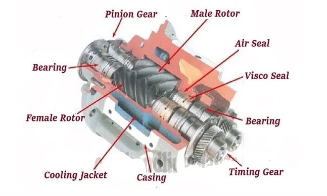 Parts of Screw Pump