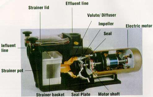 parts of pool pump