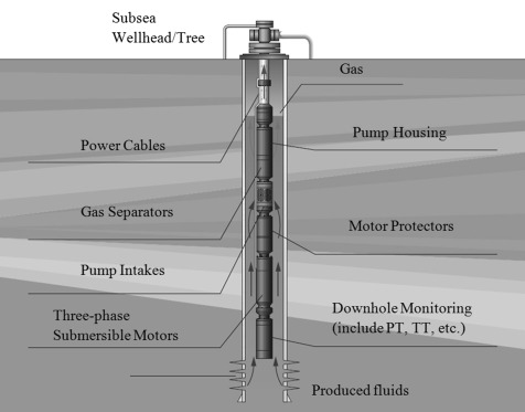 Submersible Pump System Overview main surface and downhole components