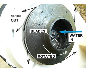parts of pool pump