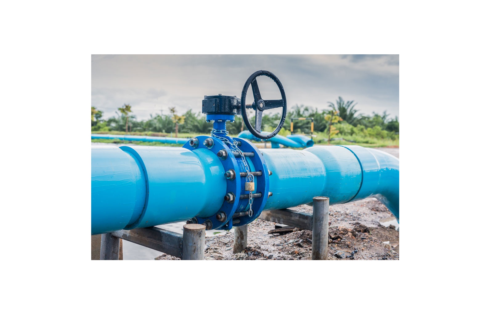 Butterfly Valve Installation Costs and Maintenance in 2023 Linquip